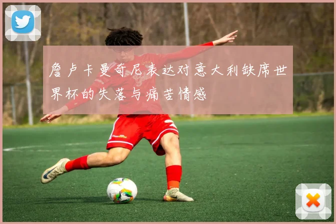 詹卢卡曼奇尼表达对意大利缺席世界杯的失落与痛苦情感